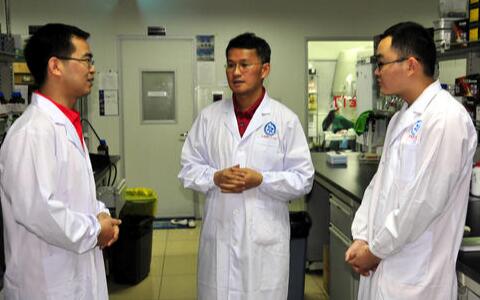 三七花泡水喝的功效